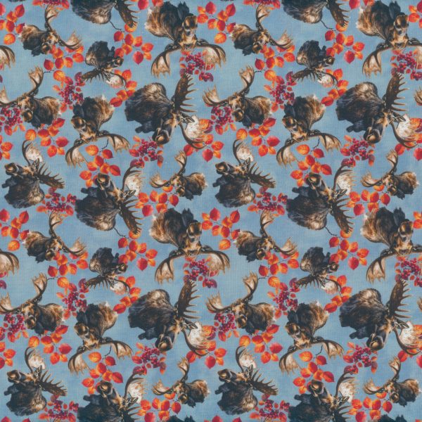 Orignaux sauvages - Multi